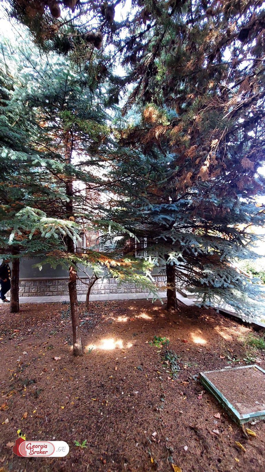 იყიდება ახალი გარემონტებული 5 ოთახიანი სახლი წეროვანში